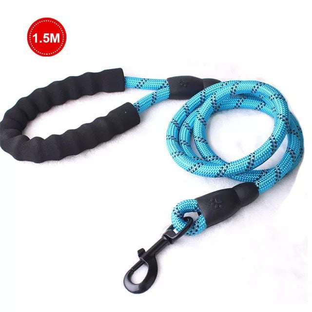 e5537cda72f94c9afd42e2341ae75f7b